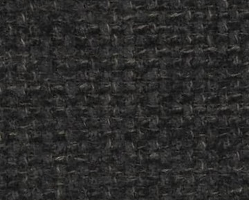 coral-804.jpg